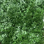 All Green Decor Jardim Vertical Preservado 6