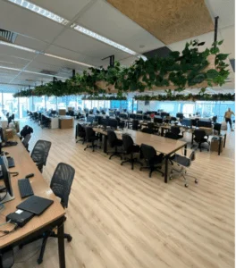 All Green Decor Jardineiras Cachepots 4