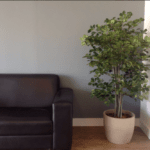 All Green Decor Vaso de Chao Mini Arvores 2