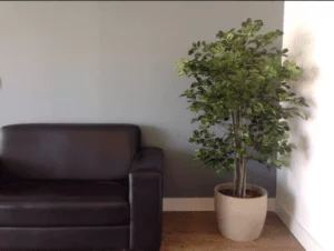 All Green Decor Vaso de Chao Mini Arvores 2