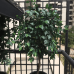 All Green Decor Vaso de Chao Mini Arvores 6