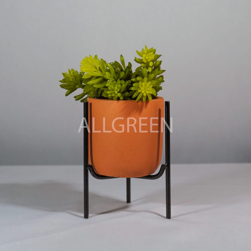 Vaso Pequeno Terracota com Suporte