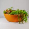 Vaso Redondo Terracota - Imagem 2